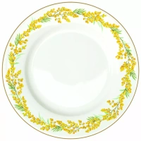 Porcelánový jídelní talíř Mimosa
