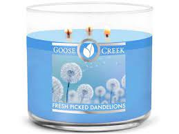 Goose Creek Fresh Picked Dandelions 411 g