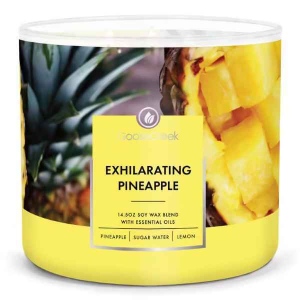 Goose Creek Exhilarating Pineapple 411 g