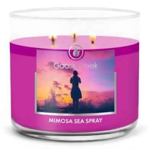 Goose Creek Mimosa Sea Spray 411 g