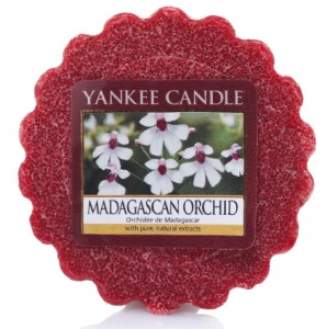 Yankee Candle Madagascan Orchid Vonný vosk do aromalampy 22g