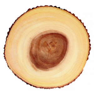 Rustikální dřevěné servírovací prkénko