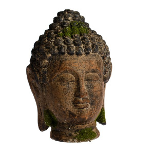 Buddha