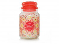 Yankee Candle Discovery 623g
