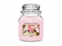 Yankee Candle Christmas Eve Cocoa 411g