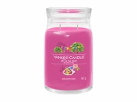 Yankee Candle Art In The Park Signature Velký 567 g