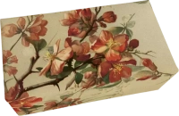 Dárkové mýdlo Japanese Quince 200 g