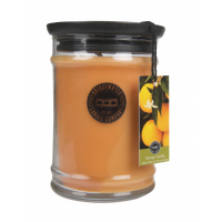 Bridgewater Vonná svíčka Orange Vanilla 524 g