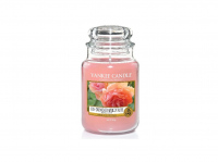 Yankee Candle Sun-drenched Apricot Rose Classic Velký 623g