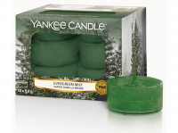 Yankee Candle Evergreen Mist 12 x 9,8g