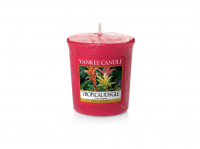 Yankee Candle Tropical Jungle votivní svíčka 49g
