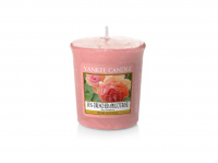 Yankee Candle Sun-drenched Apricot Rose votivní svíčka 49g