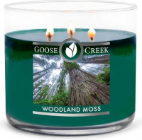 Goose Creek Woodland Moss