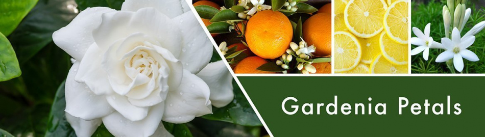Gardenia-Petals-Candle-Fragrance.jpg