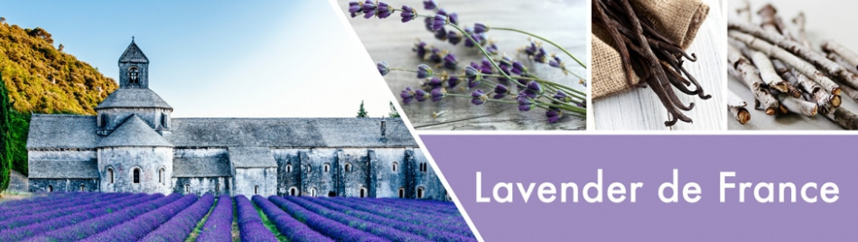 lavender-de-france-.jpg